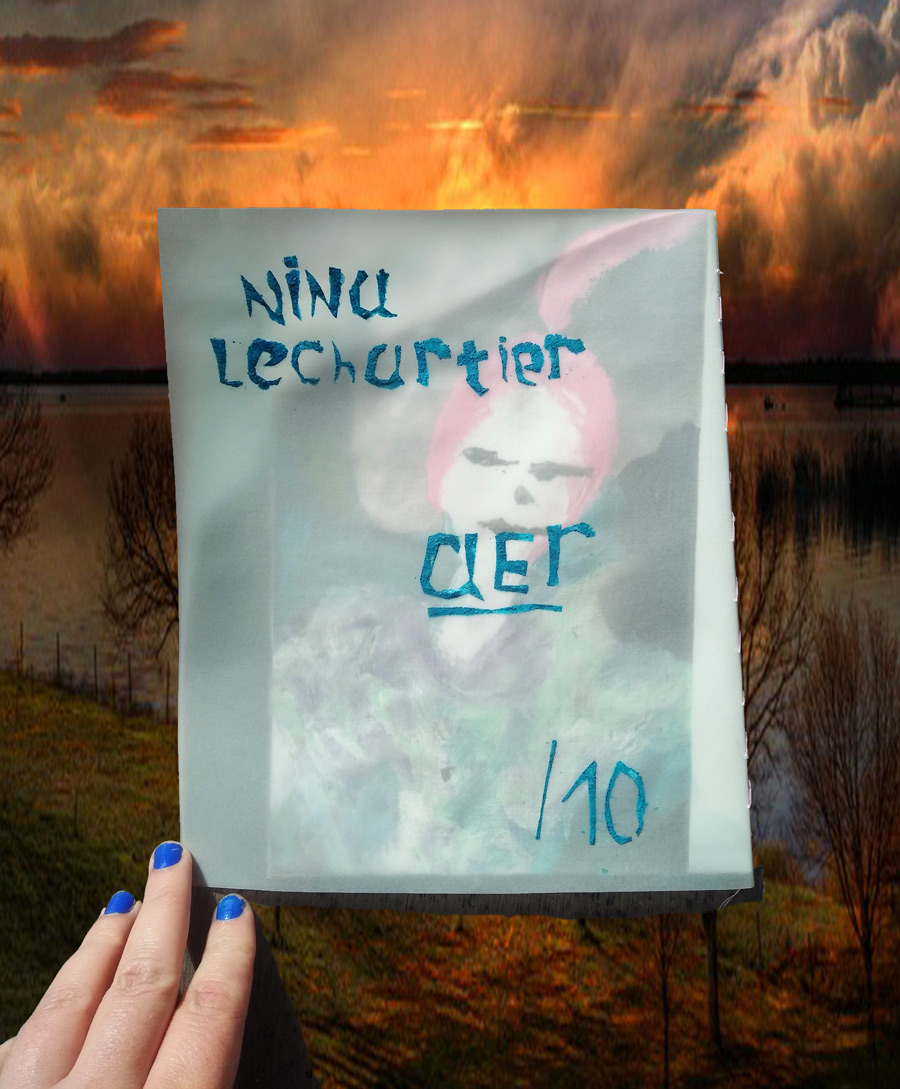 fanzine aer nina lechartier